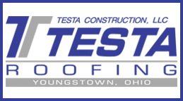 Testa Construction